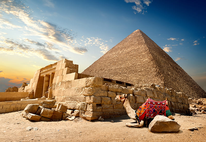 туры в египет из барнаула